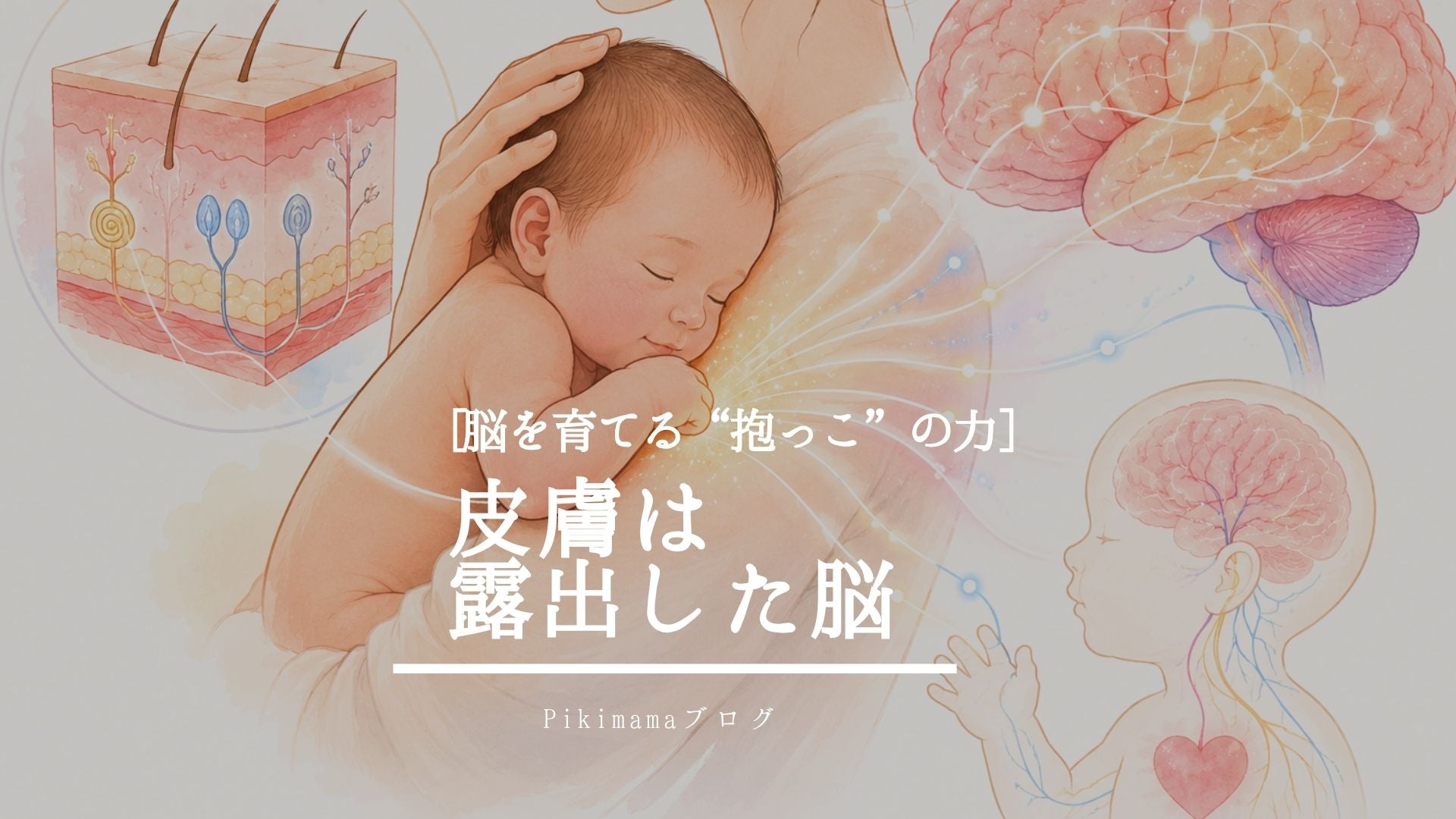 【Pikimamaブログ】「皮膚は露出した脳」って本当？ ── 赤ちゃんの脳を育てる“抱っこ”の驚くべき力